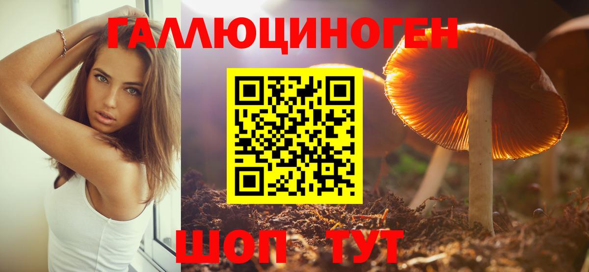 Псилоцибиновые грибы GOLDEN TEACHER  Вход с VPN  Псилоцибиновые грибы Psilocybine cubensis  Кимовск 