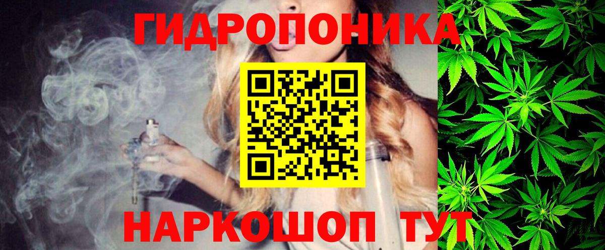 Кимовск  Конопля ГИДРОПОН  Марихуана OG Kush  Марихуана индика  Вход с VPN 